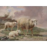 Eugène Verboeckhoven (1798-1881) A sheep with her lambs. Signed lower right. Verso 'mouton et