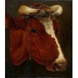 Toegeschreven aan Carl Seibels (1844-1877)Study of a cow's head. Not signed. Marouflé 21,5 x 18,5