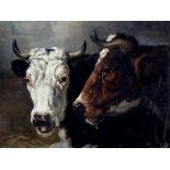 Richard Burnier (1826-1864)Two cows heads. Not signed. German annotation verso. Paneel 31,5 x 41,5