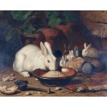 Bernard te Gempt (1826-1879)Mother rabbit with her babies. Signed upper right. Remains of a French