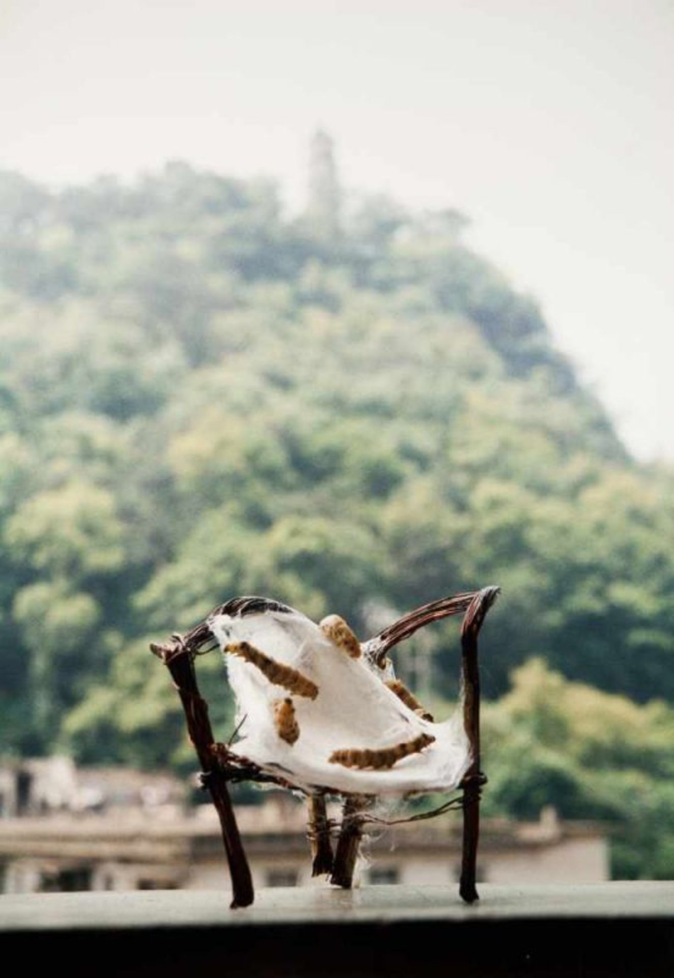 Liang Shaoji (n. 1945) Untitled (chair, 5 worms) From “Nature Series” Colored photography mounted on