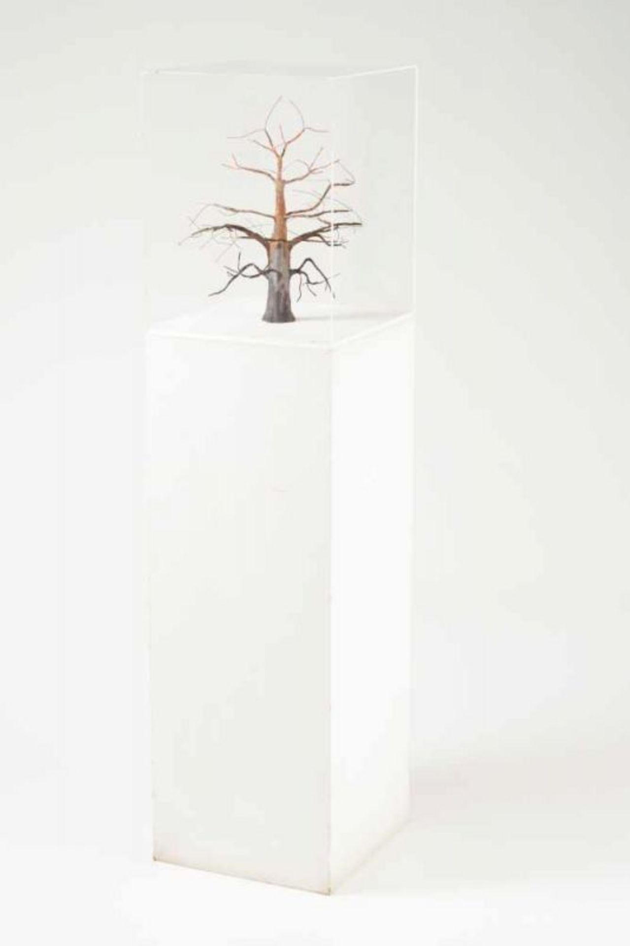 Miguel Branco (n. 1963) Untitled Wire, clay and acrylic paint sculpture Acrylic dome and painted