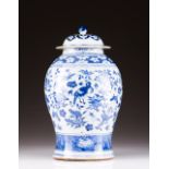 A vase Chinese porcelain Blue under glaze decoration depicting flowers, birds and insects Kangxi