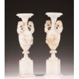 A pair of vases Alabaster Carved decoration with floral scrolls, vine leaves and grapes Europe, late