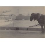 Karl Struss (New York 1886 – 1981 Santa Monica) Beasts of Burden. East River, New York. 1909