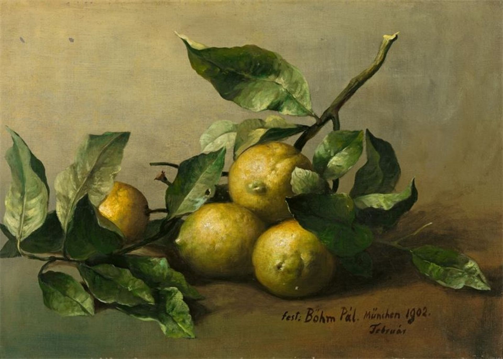 Pál Böhm (Nagyvárad 1839 – 1905 München) Stilleben mit Zitronen. 1902 Öl auf Leinwand. 37 × 52,5