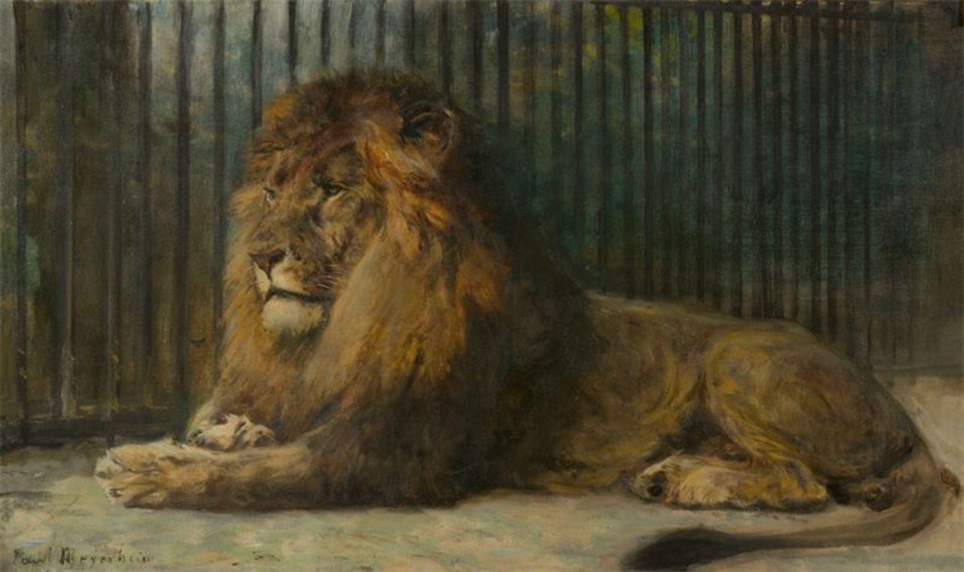 Paul Meyerheim (1842 – Berlin – 1915) Liegender Löwe. (Vor) 1909 Öl auf Leinwand. 55 × 93 cm (