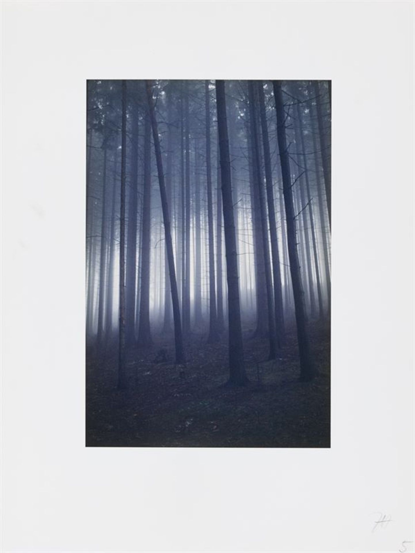 Jitka Hanzlová (Náchod, Tschechoslowakei 1958 – lebt in Essen)„Forest“. 2004C-Print. 26,7 × 17,8