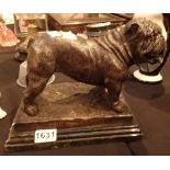 Signed bronze Bulldog on marble base L: 30 cm