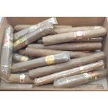 Cuban humidor containing twenty two cigars