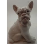 Royal Copenhagen French bulldog ceramic model L: 25 cm