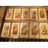 Album of high value unusual cigarette cards