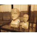 Two Phrenology heads tallest H: 24 cm