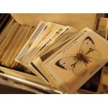 More than 250 cigarette cards including Morris Turf and Carreras and a viewing map