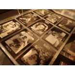 Full set of Marilyn Monroe trading cards in named folder