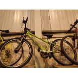 Raleigh Awesom terrace mountain bike in green