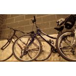 Genisis Free Spirit purple ladies mountain bike with stand