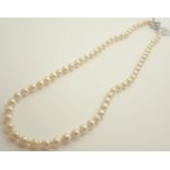 Vintage string of genuine pearls with silver clasp