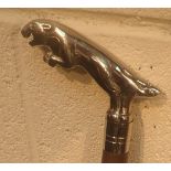 Jaguar handle walking stick