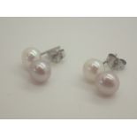 Two pairs of genuine pearl silver stud e