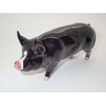 Beswick Berkshire boar L: 17 cm