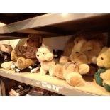 Shelf of plush toys including teddy bears dogs etc