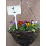 Viola Basket (1)