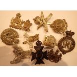 Selection of Military cap badges and helmet plates