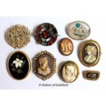 Selection of nine brooches, including four cameo brooches, a seed pearl brooch, a mourning brooch