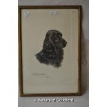 After Leon Danchin, Cocker Spaniel, limited edition print, signed in pencil, 33.5 x 26cm.