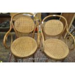 A pair of bentwood carvers and a beech single chair.