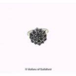 Diamond cluster dress ring, nineteen round brilliant cut diamonds set in a floral design,