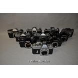 Ten camera bodies. Models include Minolta X-300 and X-700; Praktica Super TL, VF and IV B; Nikon