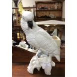 A Crown Staffordshire figure of a cockatoo.