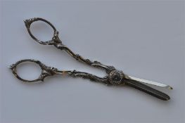 A good pair of early grape scissors, the handles a