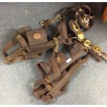 Old leather horse harnesses etc.