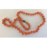A good Antique graduated string of coral beads wit