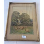 A framed and glazed watercolour of sheep with shep