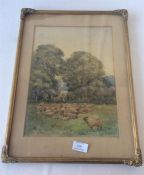 A framed and glazed watercolour of sheep with shep