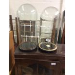 A pair of tall glass domes on stands. (One cracked