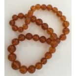 A graduated string of circular amber beads with co