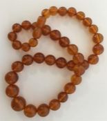 A graduated string of circular amber beads with co