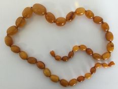 A graduated string of amber beads. Approx. 54.8 gr