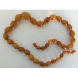 A graduated string of amber beads. Approx. 54.8 gr