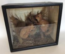 TAXIDERMY: A good glazed cabinet containing two re