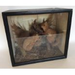 TAXIDERMY: A good glazed cabinet containing two re