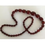 A graduated string of cherry amber beads. Approx.