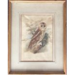 A framed and glazed watercolour of a tawny owl per