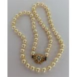 A graduated string of pearl beads with gold star-s