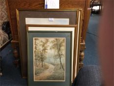 A collection of framed and glazed watercolours.